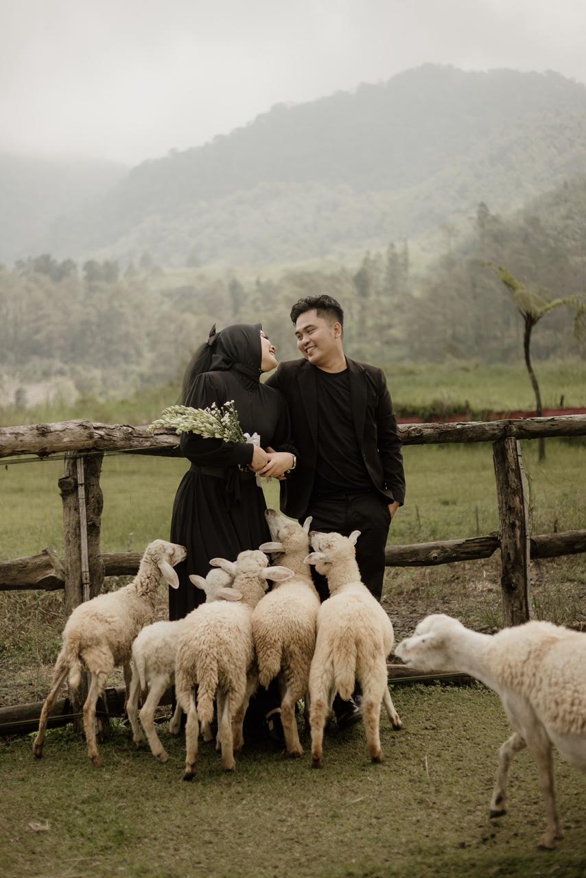 Sekar & Barner150526