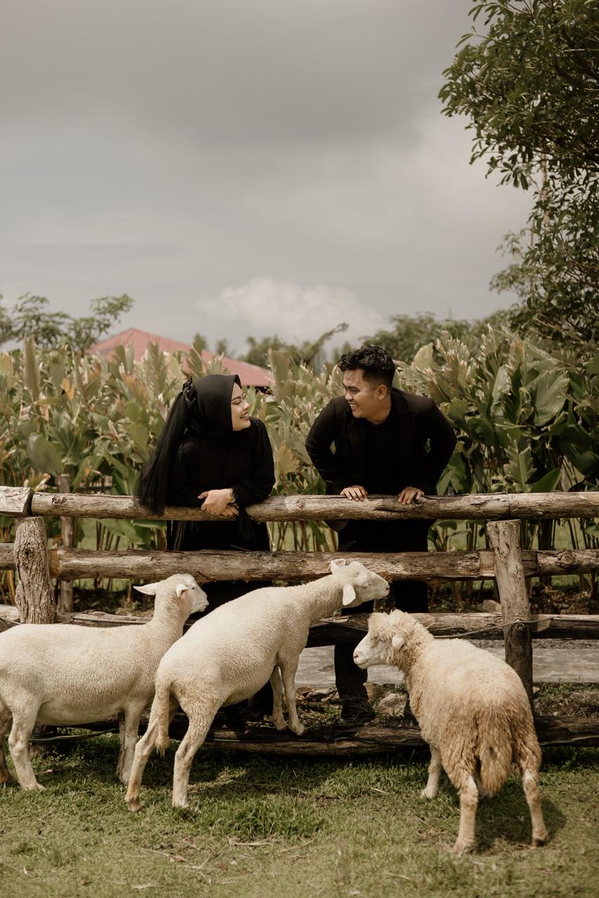 Sekar & Barner150526